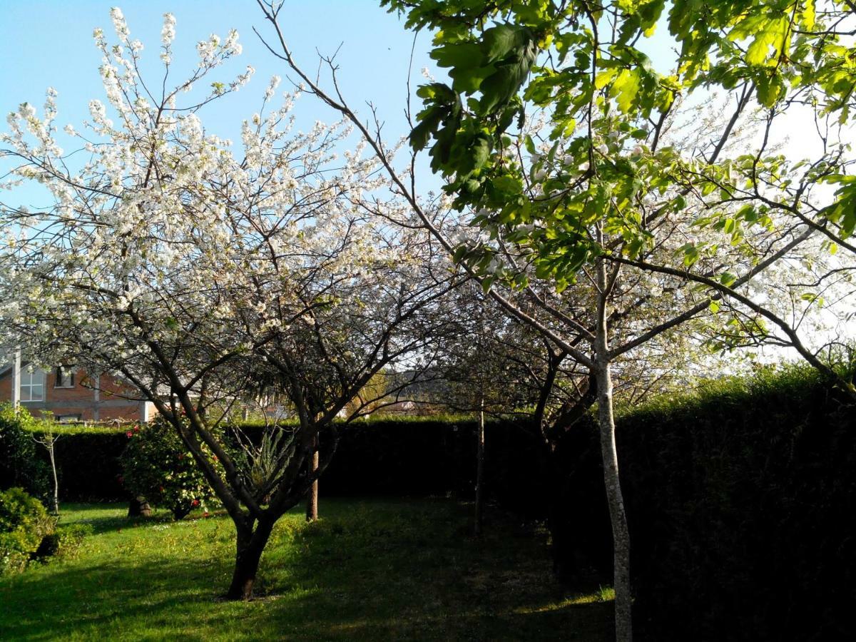 Mi Cabana Villa Ribadumia Esterno foto