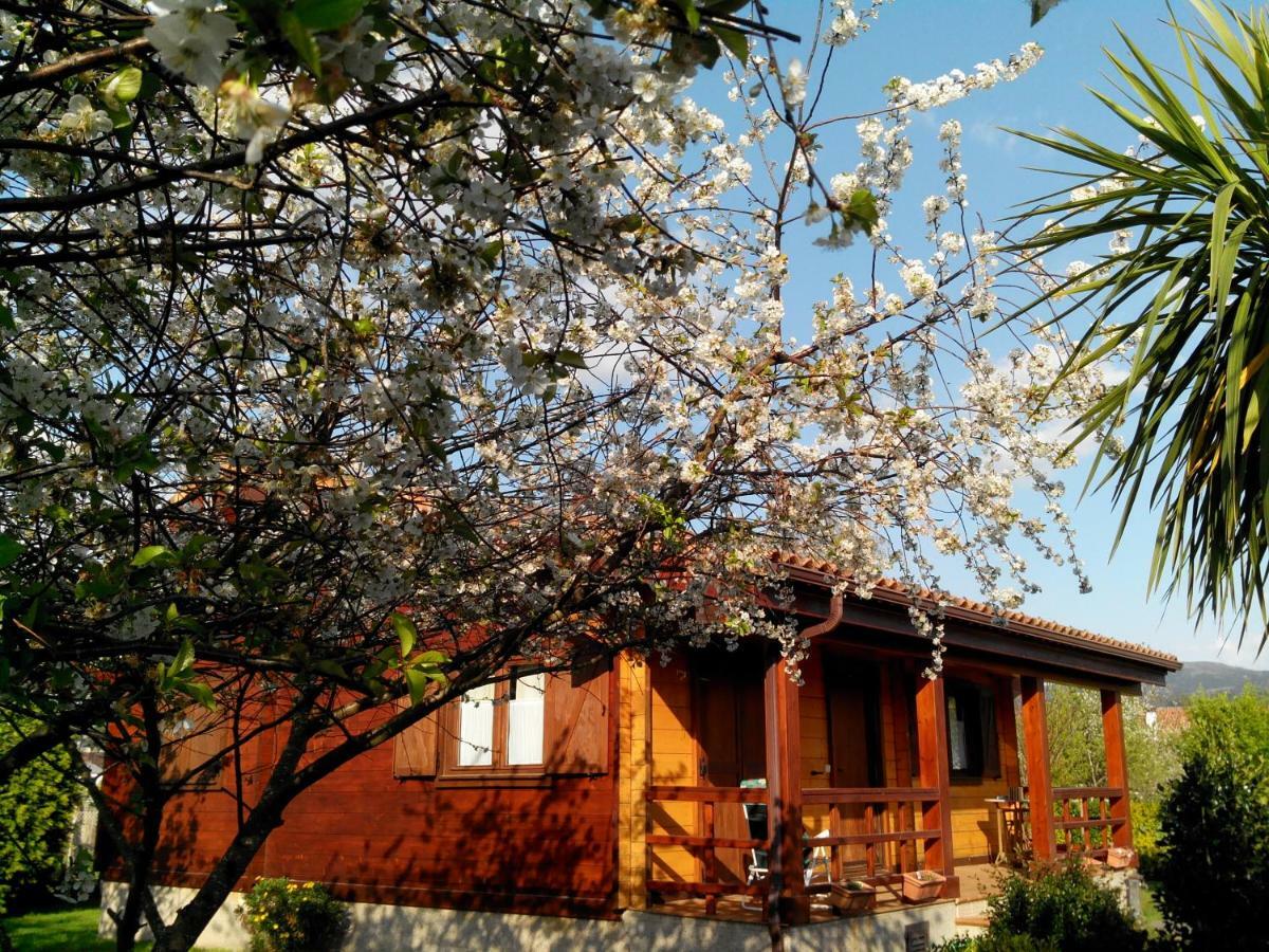 Mi Cabana Villa Ribadumia Esterno foto